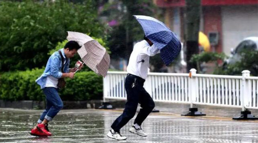9號臺風(fēng)“馬鞍”生成！金環(huán)電器提醒大家要注意的事項