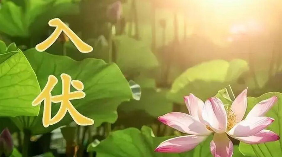 入伏天來(lái)襲！金環(huán)電器提醒大家要注意的事項