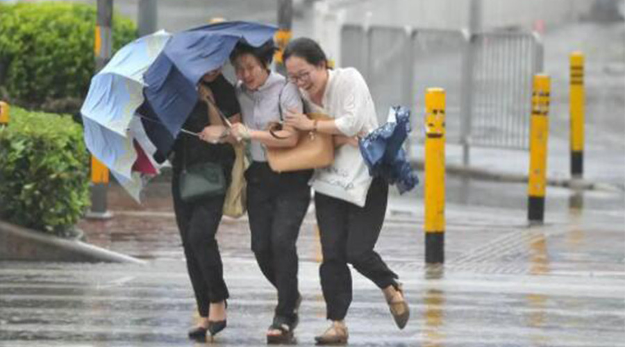 家有衣物烘干機，無(wú)懼臺風(fēng)天吹走和淋濕衣物！