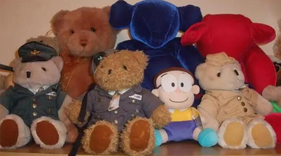 解答！毛公仔可以使用滾筒衣服烘干機除菌嗎