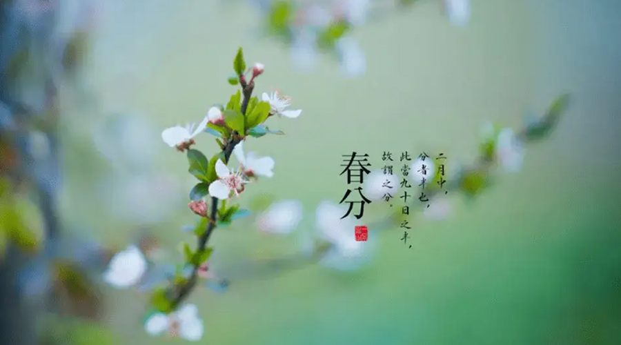 春分雨水多易生菌！金環(huán)電器提醒你衣物要注意處理