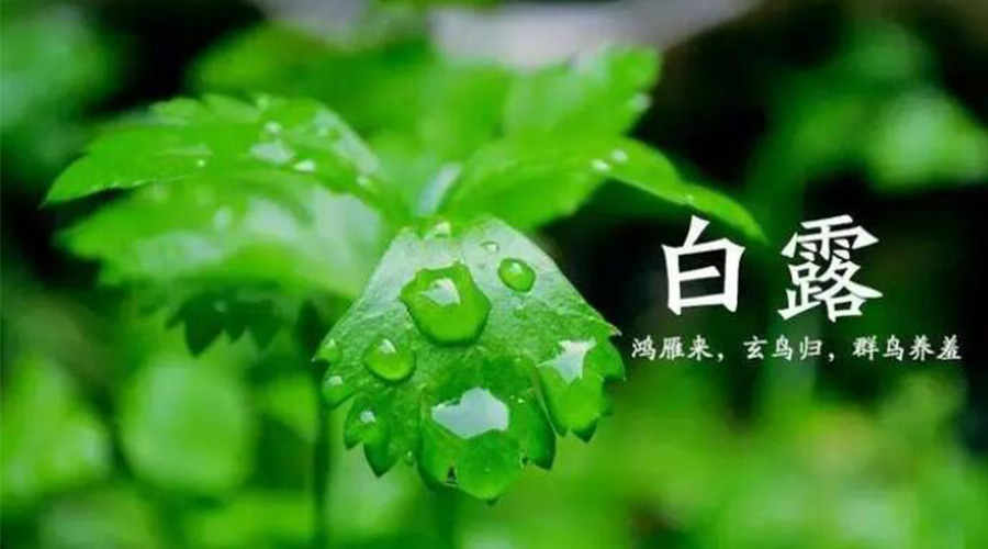 白露時(shí)節！金環(huán)電器提醒大家要注意的事項