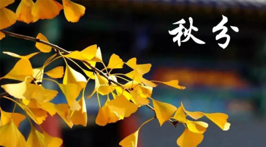 秋分時(shí)節！金環(huán)電器提醒大家要注意的事項