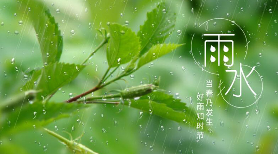 雨水時(shí)節！金環(huán)電器提醒大家要注意的事項